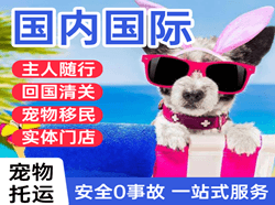 新桥空运国际宠物托运 【国